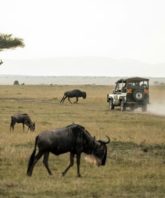 03 DAYS  SAMBURU SAFARI