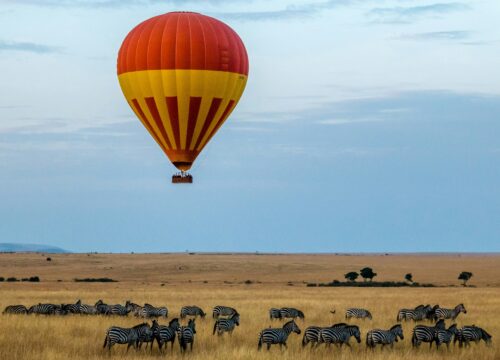 11 DAYS KENYA TANZANIA SAFARI TOURS